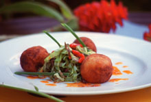 alb_ndigas_de_pollo.jpg