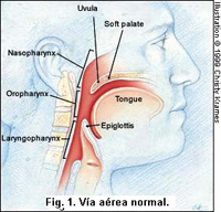 figura04_1_.jpg